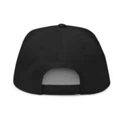 Tectum Snapback Hat - Image 2