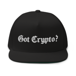 Got Crypto? Snapback Hat - Image 3