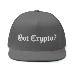 Got Crypto? Snapback Hat