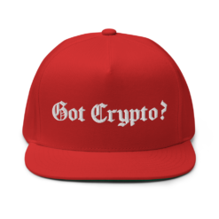 Got Crypto? Snapback Hat - Image 5