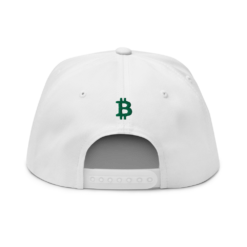 Bitcoin St. Patrick's Day Snapback Hat - Image 2