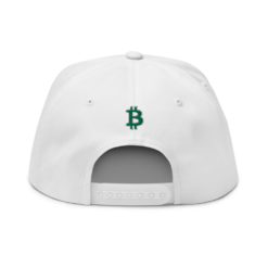 Bitcoin Baseball Snapback Hat - Image 2