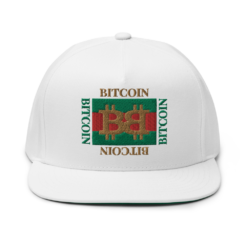 Bitcoin Fashion Snapback Hat