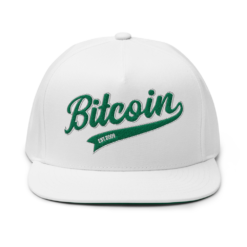 Bitcoin Baseball Snapback Hat