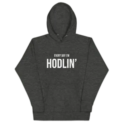 Every Day I'm Hodlin' Hoodie - Image 3